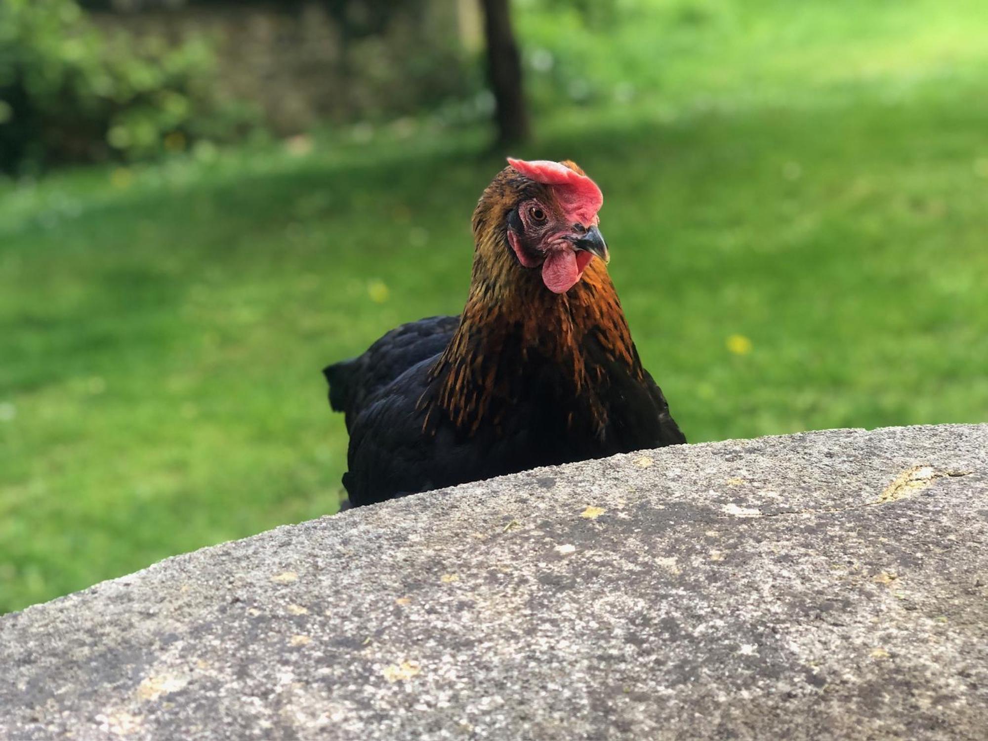 Le Clos Des Songes Blaru Exteriör bild
